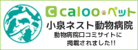 calooペット